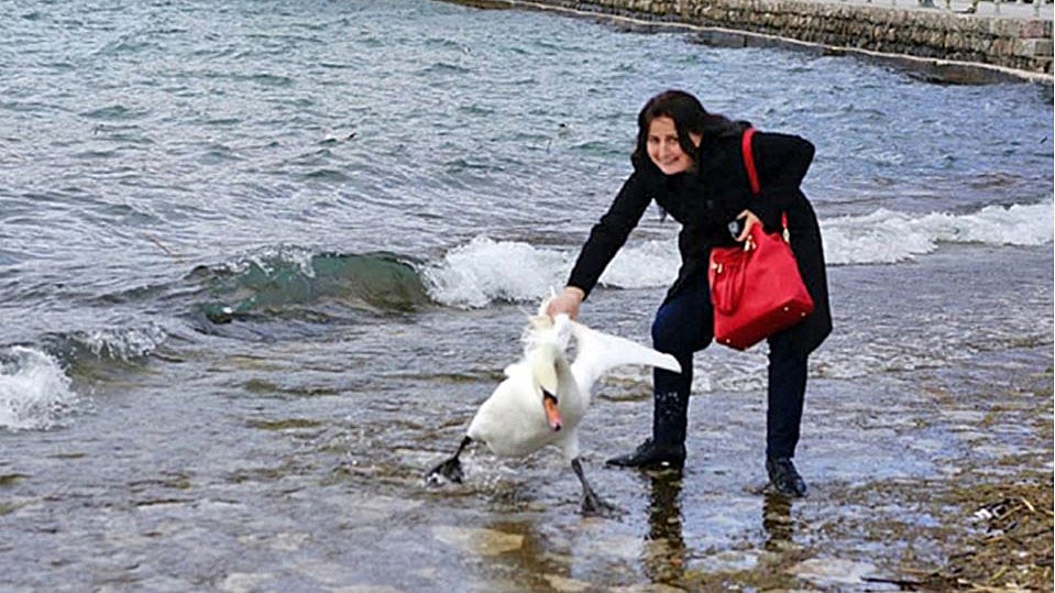 A Bulgarian woman trying to click a selfie with a swan in Macedonia. (Photo Courtesy: Nake Batev)