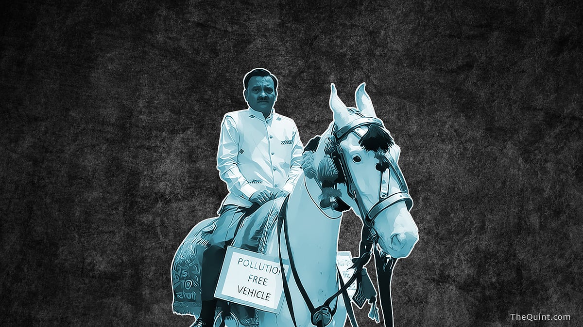 BJP MP Ram Prasad Sharma arrives at Parliament riding a horse with a placard reading “pollution free vehicle” to protest against the Delhi government’s odd-even traffic restrictions on April 27, 2016. (Photo: IANS/ Altered by <b>The Quint</b>)