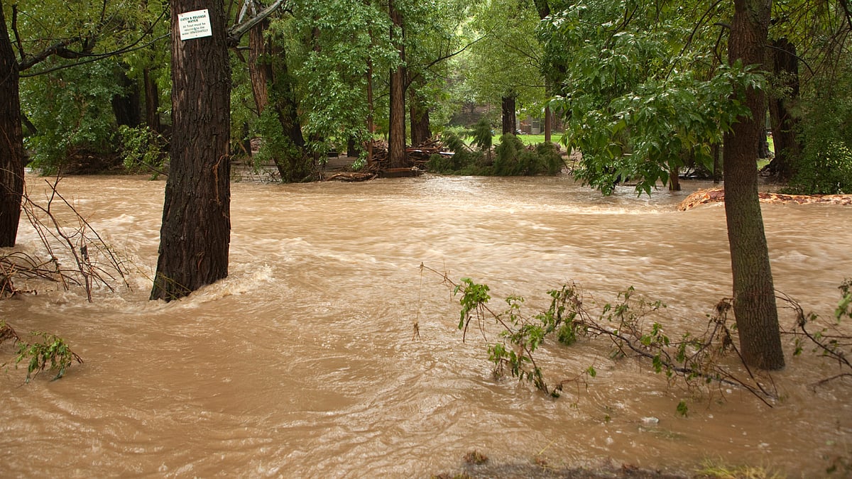 Picture for representational purposes only. ( Photo : iStock, Getty Images)