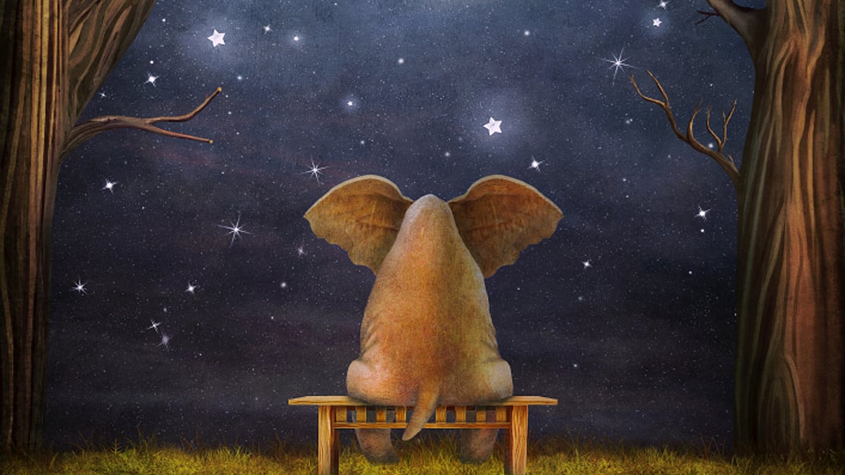 Anna would hallucinate about elephants in winter in Westboro. (Photo: iStock)