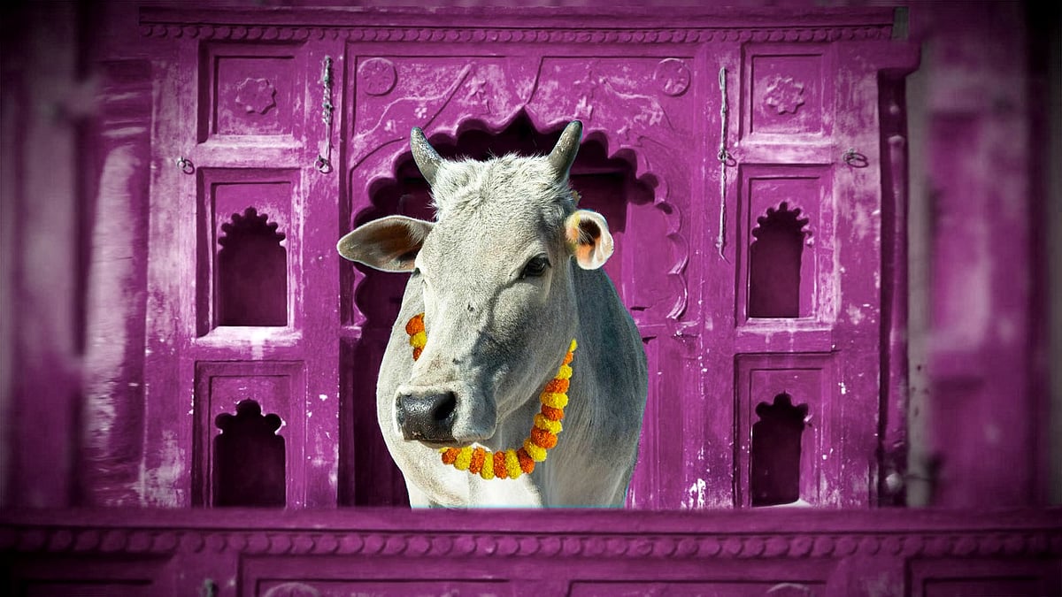 A young man was lynched in Haryana’s Palwal on suspicion of being a cattle thief. Representational image.