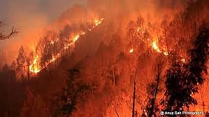 Five hundred personnel from the fire brigade were also deployed to help control the fires. (Photo: <a href="https://www.facebook.com/yla.smetacek/posts/10207779010246919?pnref=story">Facebook.com/ElaSmetack</a>)