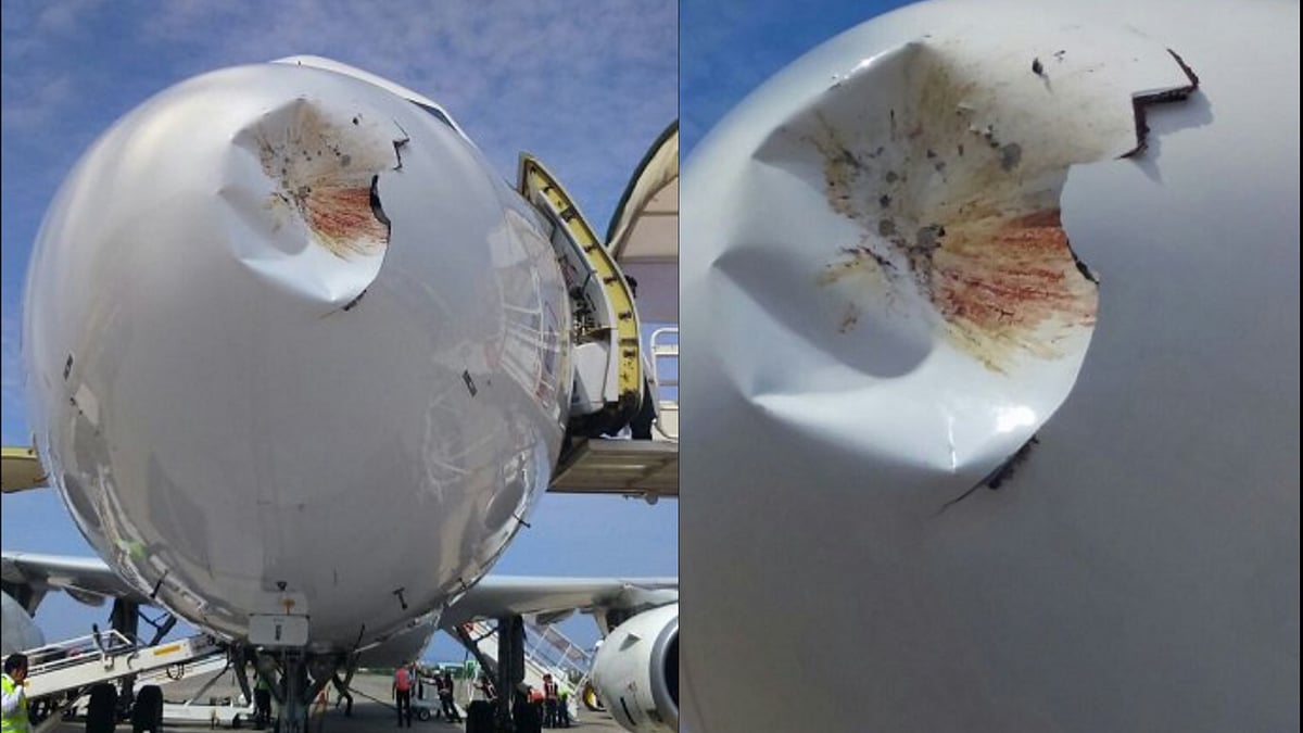  Vistara’s Bhubaneswar bound aircraft suffered a bird hit&nbsp; (Photo: ANI Screengrab)