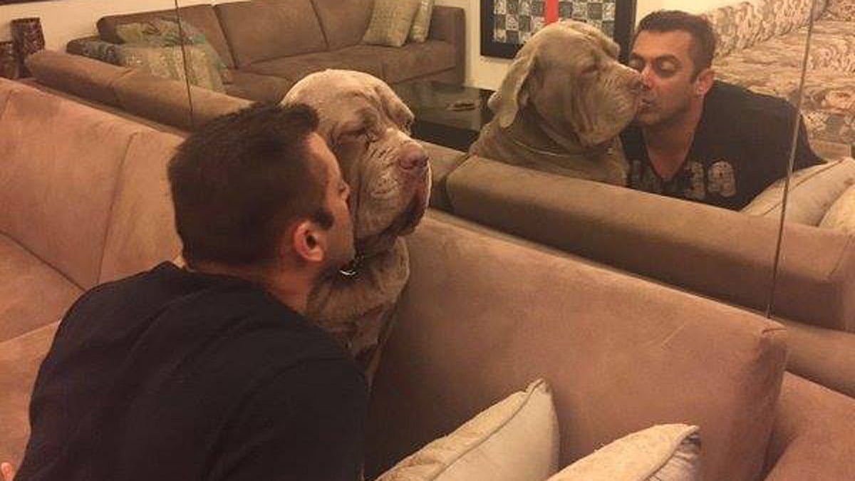 Salman Khan shares a quick peck with his dog. (Courtesy:<a href="https://www.facebook.com/BeingSalmanKhan/">Facebook/BeingSalmanKhan</a>)
