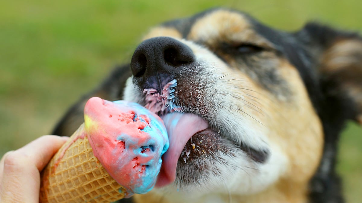 It’s getting hot. (Photo: iStockphoto)