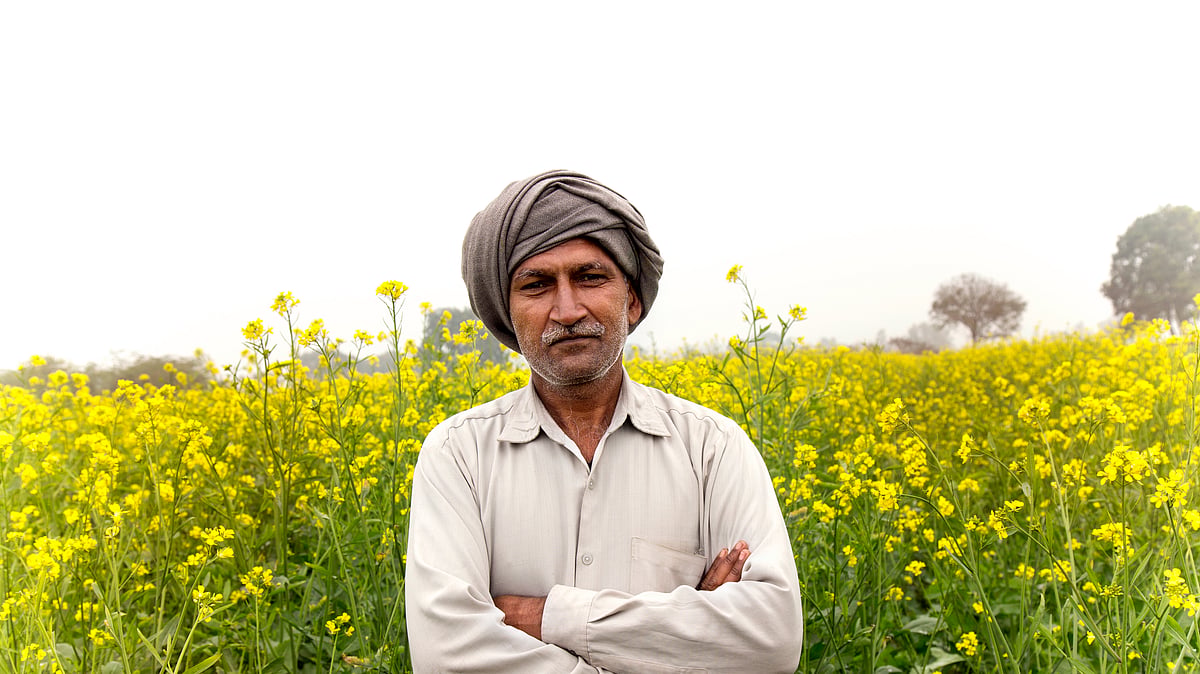 GM crops produce higher yields, but activists are worried it could reduce plant biodiversity. (Photo: iStock)
