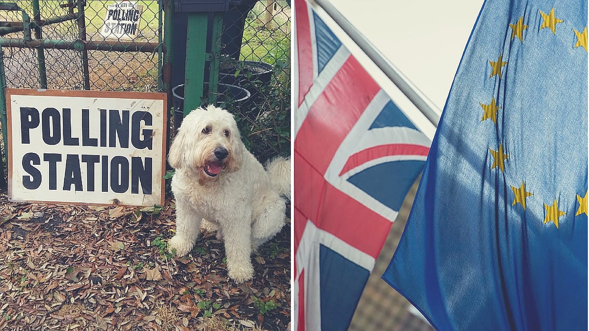 EU Referendum voters bring their dogs to the polling booths. (Photo: Twitter, AP/<b>The Quint</b>)