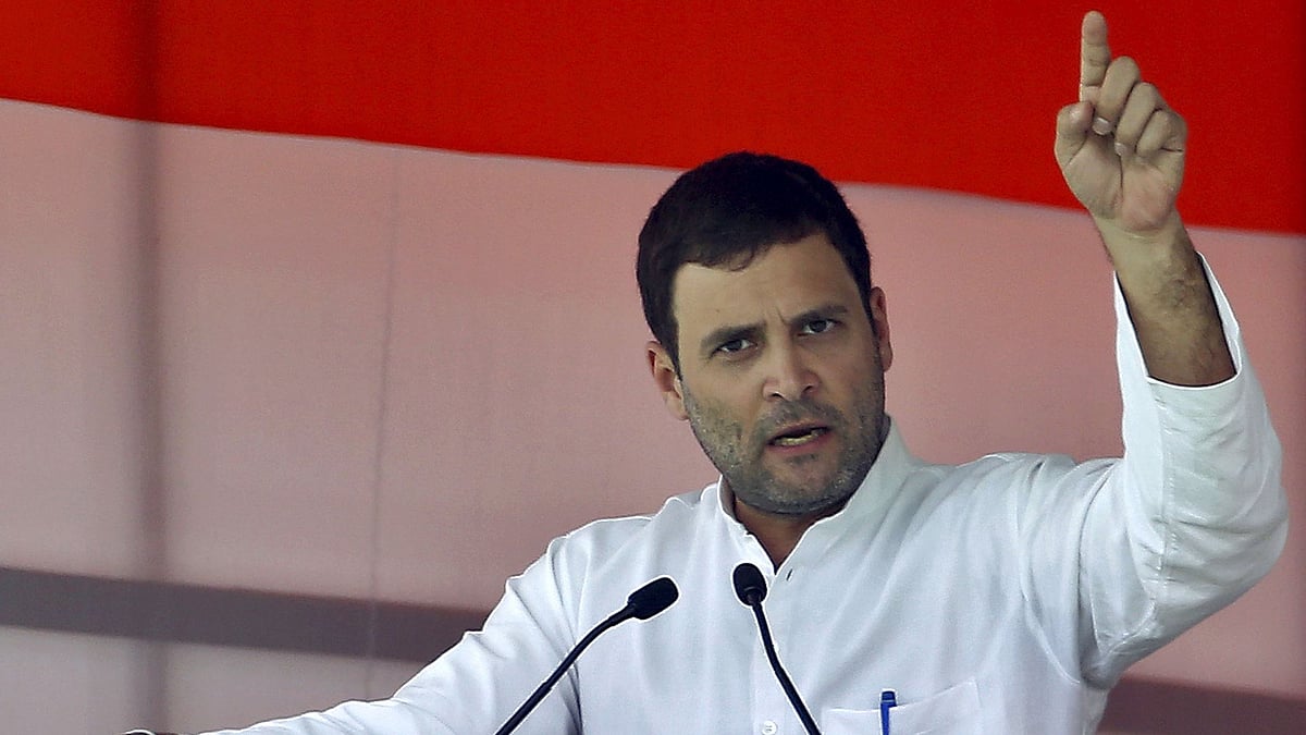 Rahul Gandhi, Congress Leader