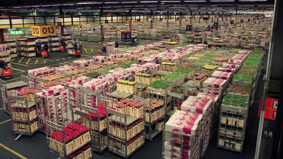 Flowers at the Dounan market ready for auction. (Photo: AP/BON TV screengrab)