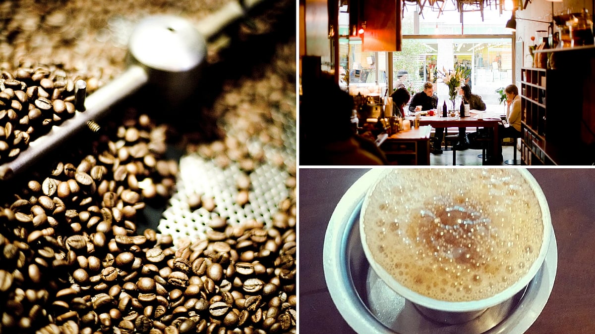 <div class="paragraphs"><p>A coffee snob is an actual thing, much like connoisseurs of good wine. </p></div>