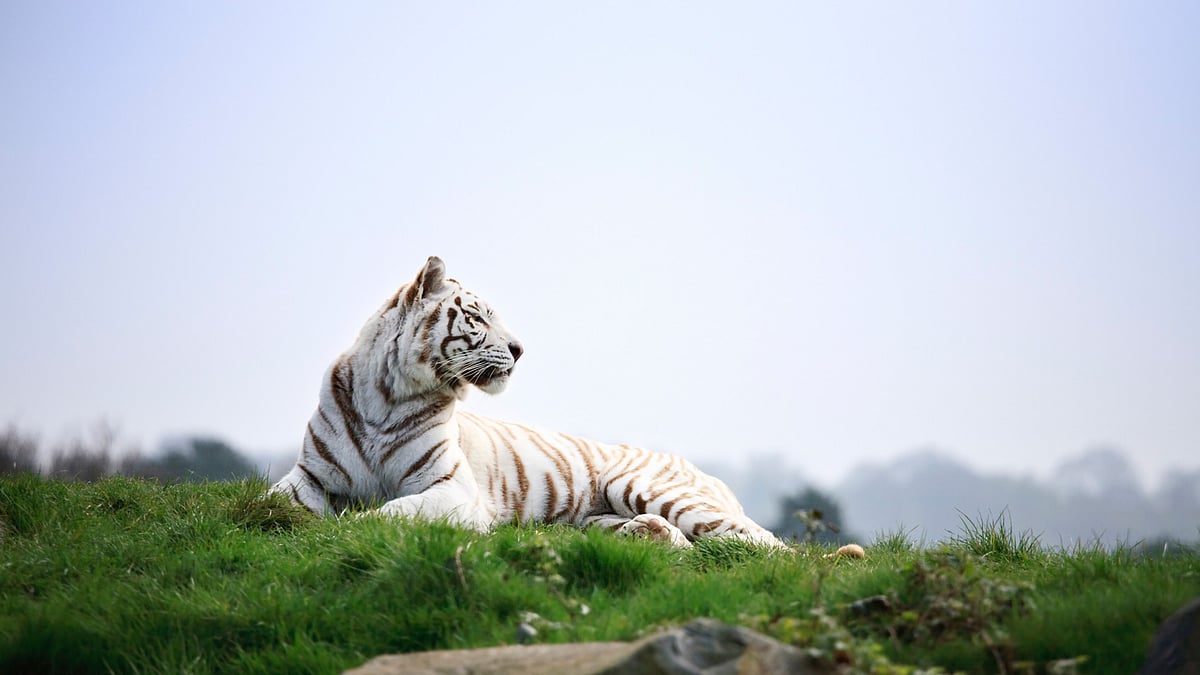 Image used for representational purpose. (Photo: iStock)