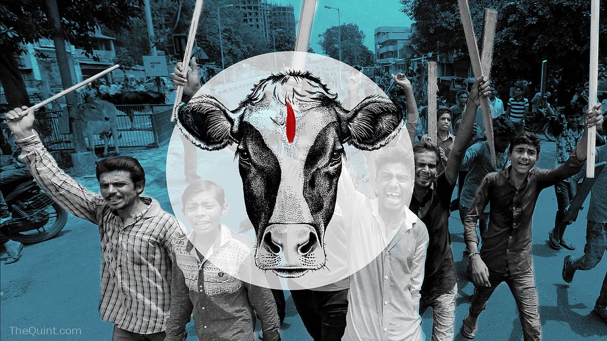 Dalits hold wooden sticks and shout slogans during a protest in Ahmedabad on Wednesday. (Photo: PTI/ Altered by <b>The Quint</b>)