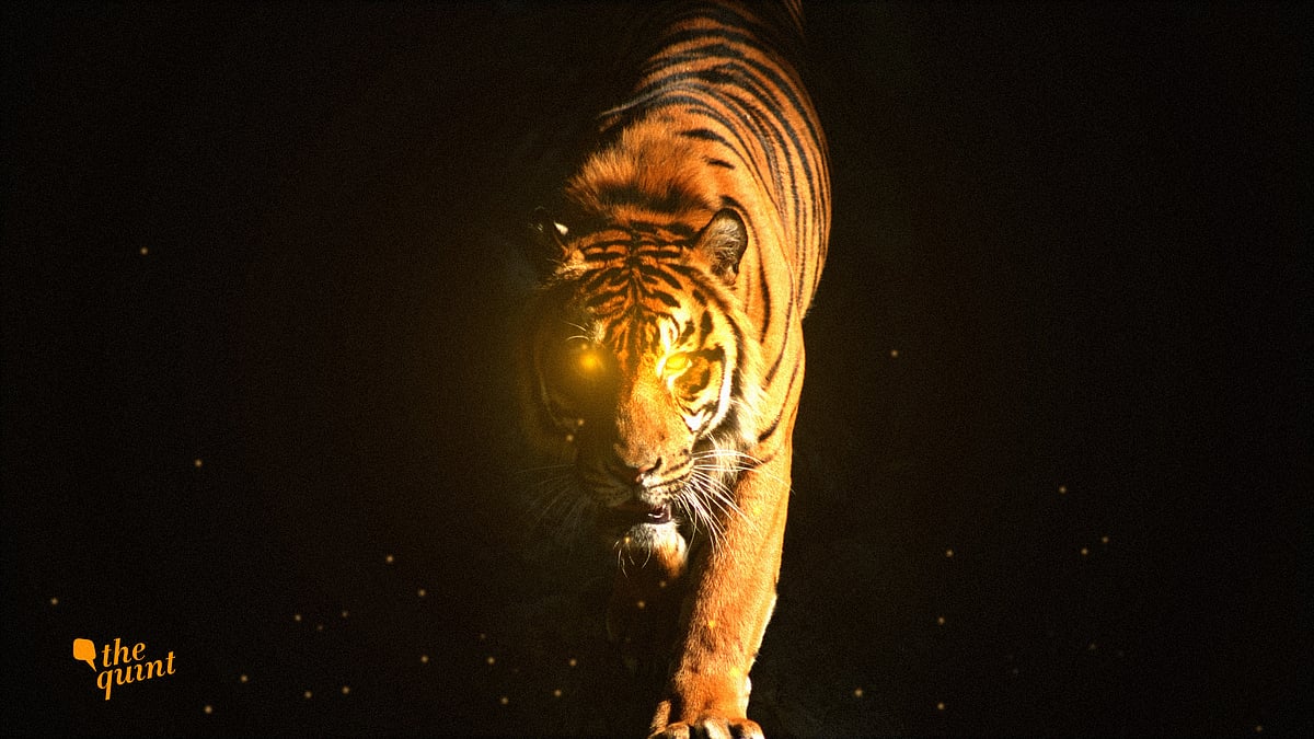 (Image altered by <b>The Quint</b>/Hardeep Singh)