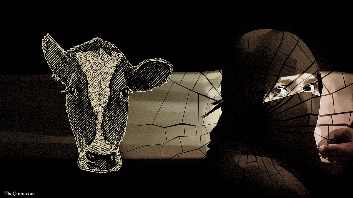 The meat possessed by the women was examined and found to be buffalo meat, not beef. (Photo: <b>The Quint</b>)