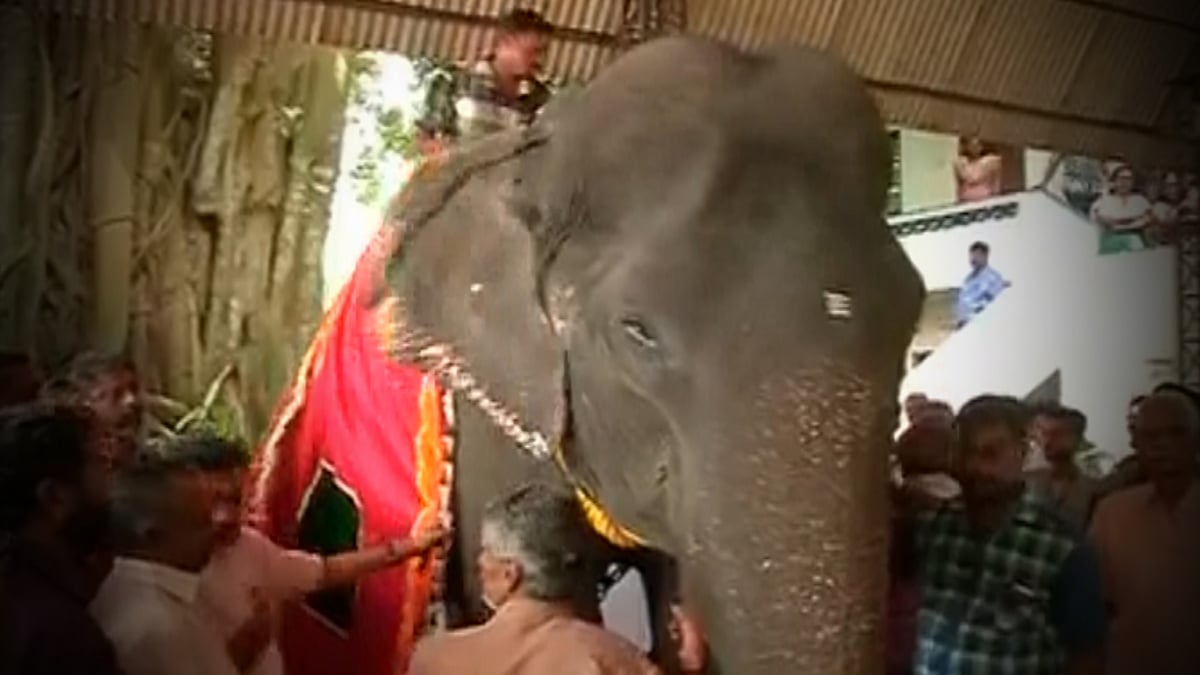 A special postal cover from the Kerala Circle Postal Service would be issued to honour Dakshayani, the 86-year-old elephant all set to enter the Guinness book of records (Photo: ANI Screengrab)