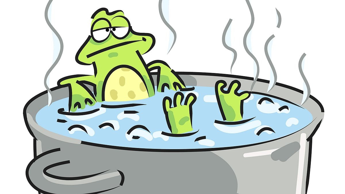 Activists believe that there is an organised poaching network which ensures that frogs from the wild land up in restaurants. (Photo: iStockphoto)