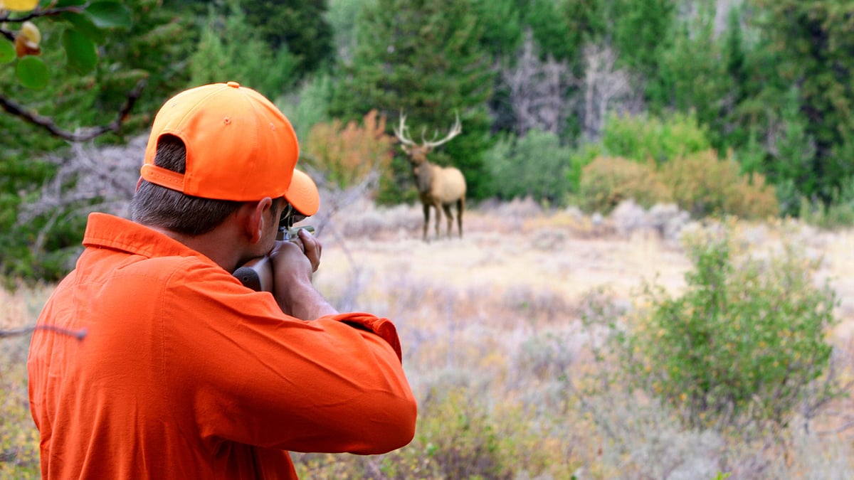 As long as there is demand, there will be poaching. (Representational image: iStock)