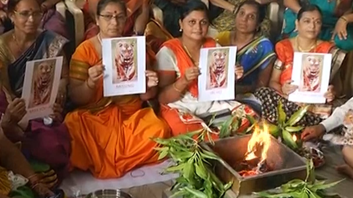 Prayers being offered for the safety of the tiger Jai, in Nagpur on Monday. (Photo: ANI screengrab)