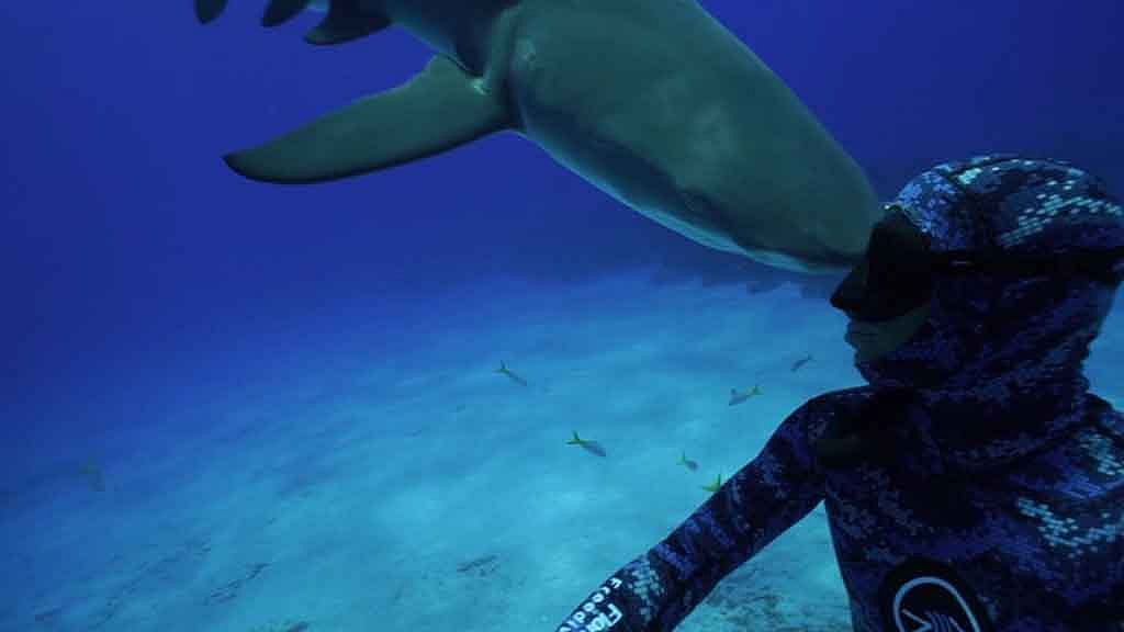 The footage was shot just off Tiger Beach in the Bahamas. (Photo: AP screengrab)