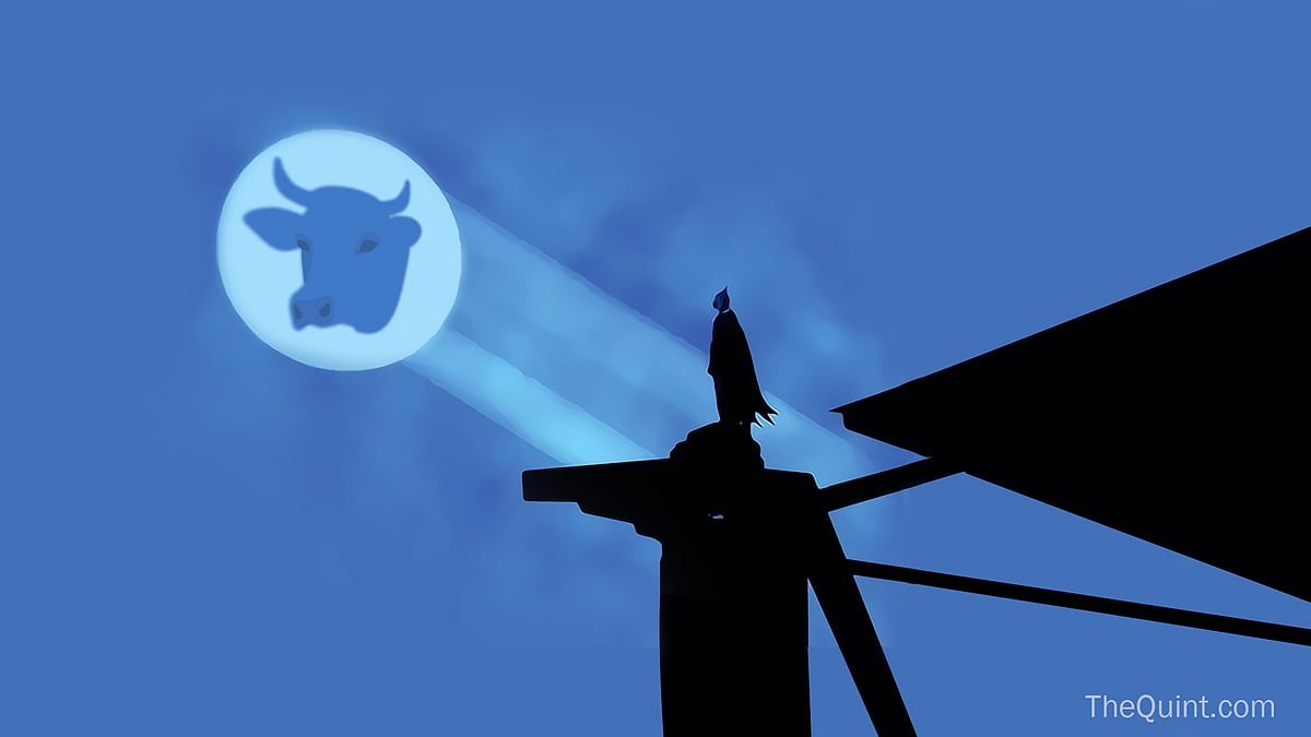 The Gau Mata Rakshaks are Batman, fighting for the safety of the citizens of <i>Gautham</i>, namely the cows. (Photo: Rahul Gupta/ <b>The Quint</b>)