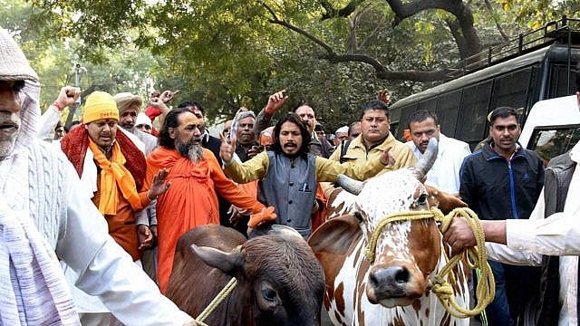 Image used for representational purpose. (Photo: PTI)