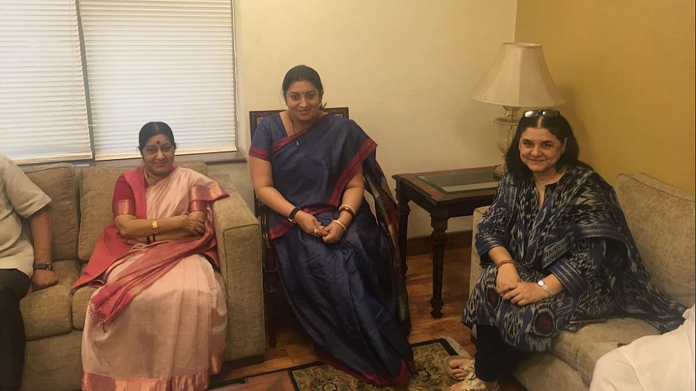 (Photo Courtesy: Twitter/<a href="https://twitter.com/search?q=%23IWearHandloom&src=tyah">Smriti Z Irani</a>)