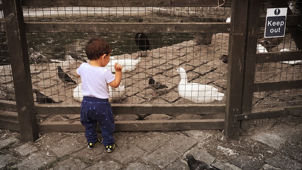 Don’t underestimate the power of the 15-month olds these days! (Photo Courtesy: Simrat Ghuman)