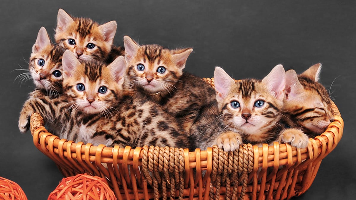 (Photo: iStockPhoto)