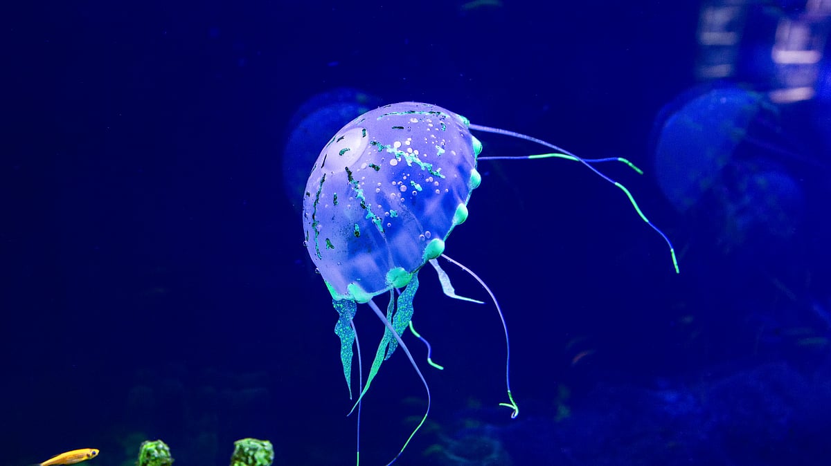 (Photo: iStockphoto)