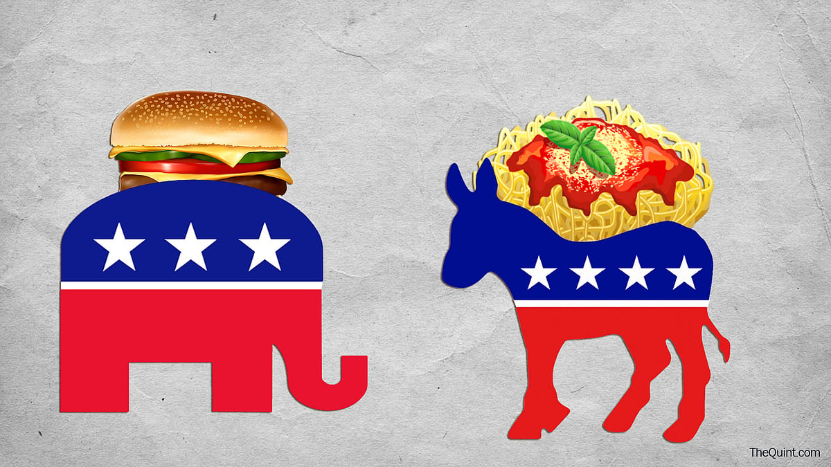 It is 2016; an election year, but Joe couldn’t care less about either of the two candidates in the fray. (Photo: Lijumol Joseph/The Quint)