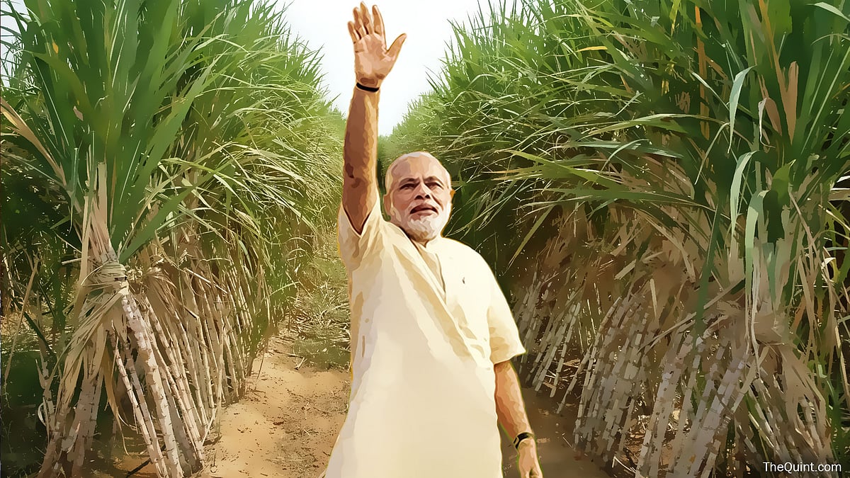 (Photo: Lijumol Joseph/ <b>The Quint</b>)