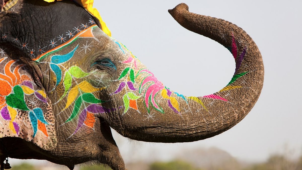 (Photo: iStockphoto)
