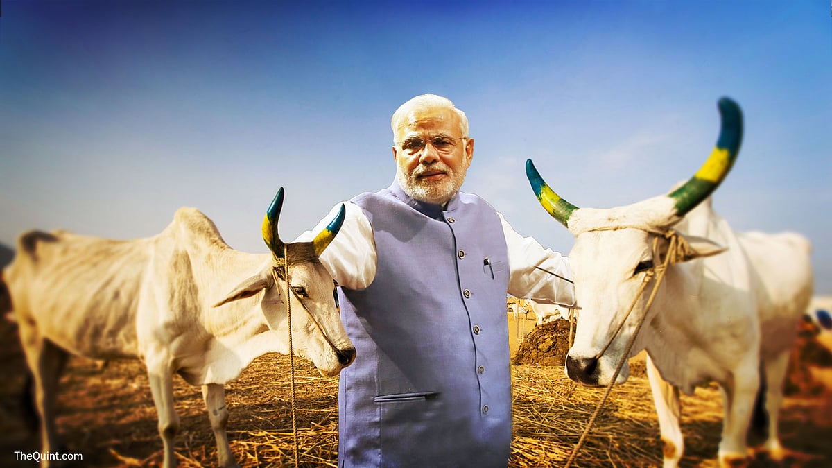 (Photo: Lijumol Joseph/ <b>The Quint</b>)