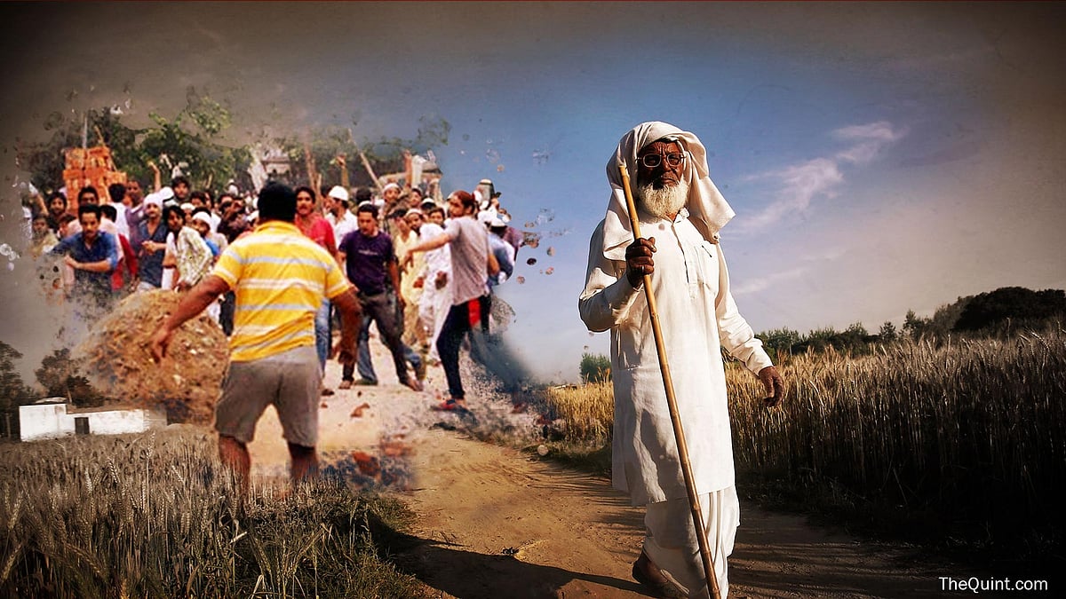 Farmers in Muzaffarnagar is facing a shortage of labourers to work in their fields. (Photo: <b>The Quint</b>)