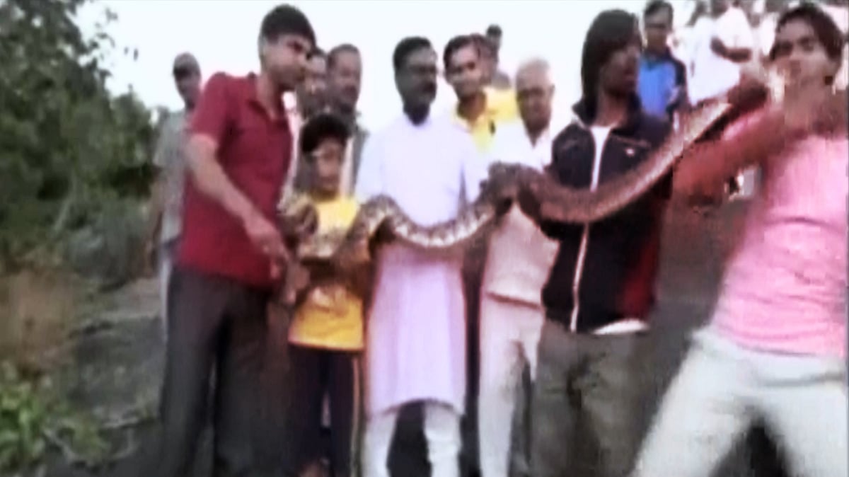 This man in Rajasthan’s Mount Abu was bitten by the reptile after he attempted to take selfies with it. (Photo: ANI screengrab)