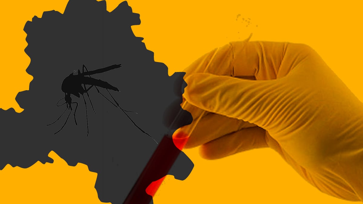 At least 96 cases of chikungunya have been reported in Delhi this year. (Photo: <b>The Quint</b>)