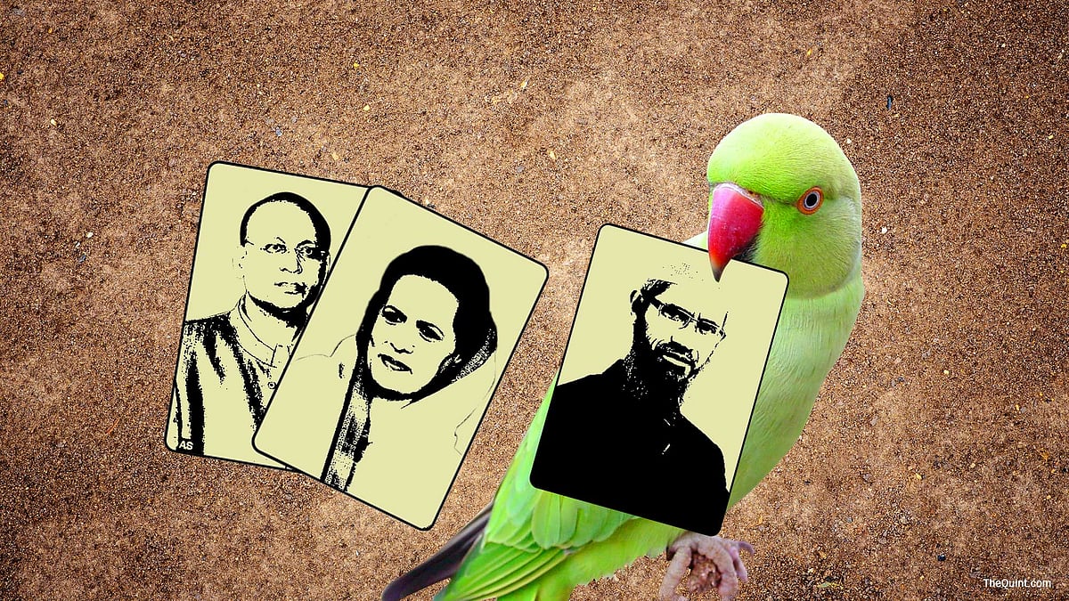 The Congress did not need to predict Dr Zakir Naik would be on the govt watch-list in 2011. He already was! (Photo: <b>The Quint</b>/Lijumol Joseph)