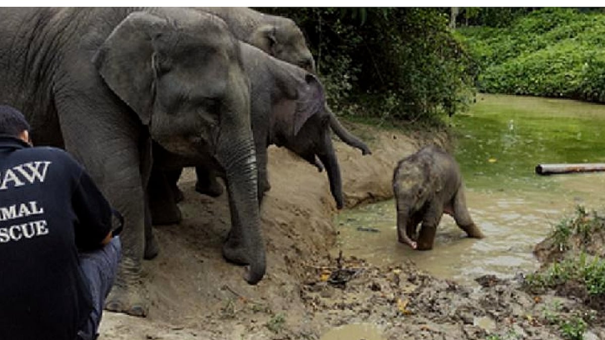A still from <i>India in a Day</i>. (Photo courtesy: Indira Kannan)
