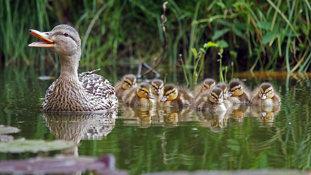 (Photo: iStock)