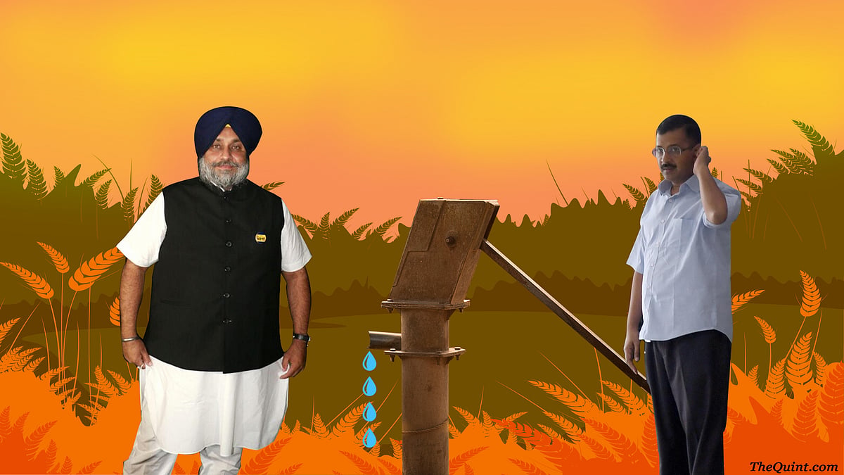 Depleting level of groundwater in Punjab has lead to a SAD-AAP war of words ahead of the Assembly polls. (Photo: Rhythm Seth/ <b>The Quint</b>)