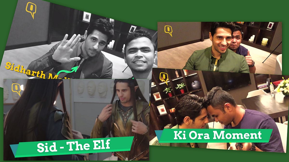 <div class="paragraphs"><p>Ki Ora! Have you met Sid, the elf ? </p></div>