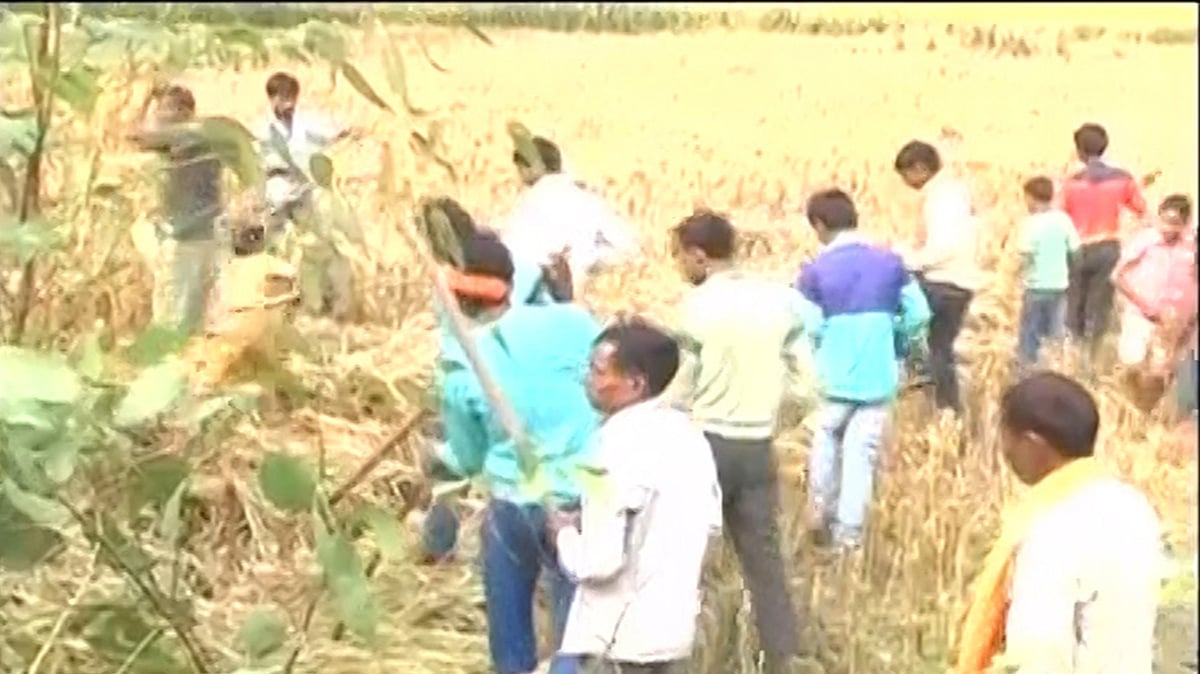 Residents of Param village in Rampur search for snakes. (Photo: ANI Screengrab)