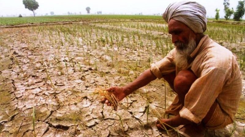 

Government recently declared 68 taluks as drought-hit. (Photo Courtesy: The News Minute)