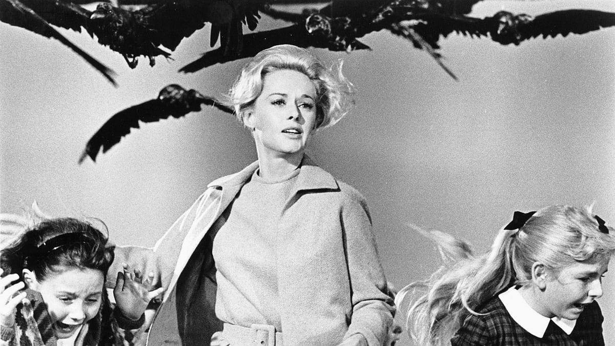 Tippi Hedren, debutant actress in the critically acclaimed <i>Birds, </i>writes about how difficult it was to work with ‘self-effacing, mild-mannered’ Alfred Hitchcock. (Photo Courtesy: <a href="http://www.theimaginativeconservative.org/wp-content/uploads/2015/05/Tippi-Hedren.jpg">theimaginativeconservative.org</a>)