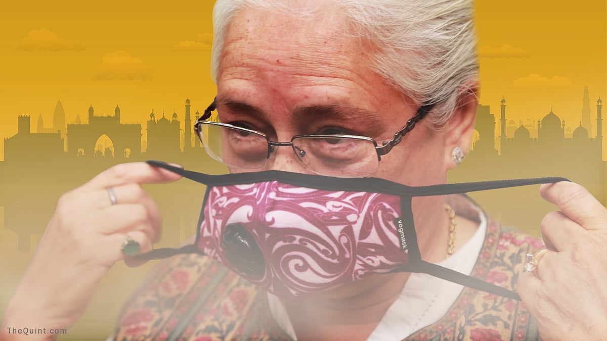 A woman wears a mask during a demonstration against rising pollution levels in Delhi on 6 November 2016. 