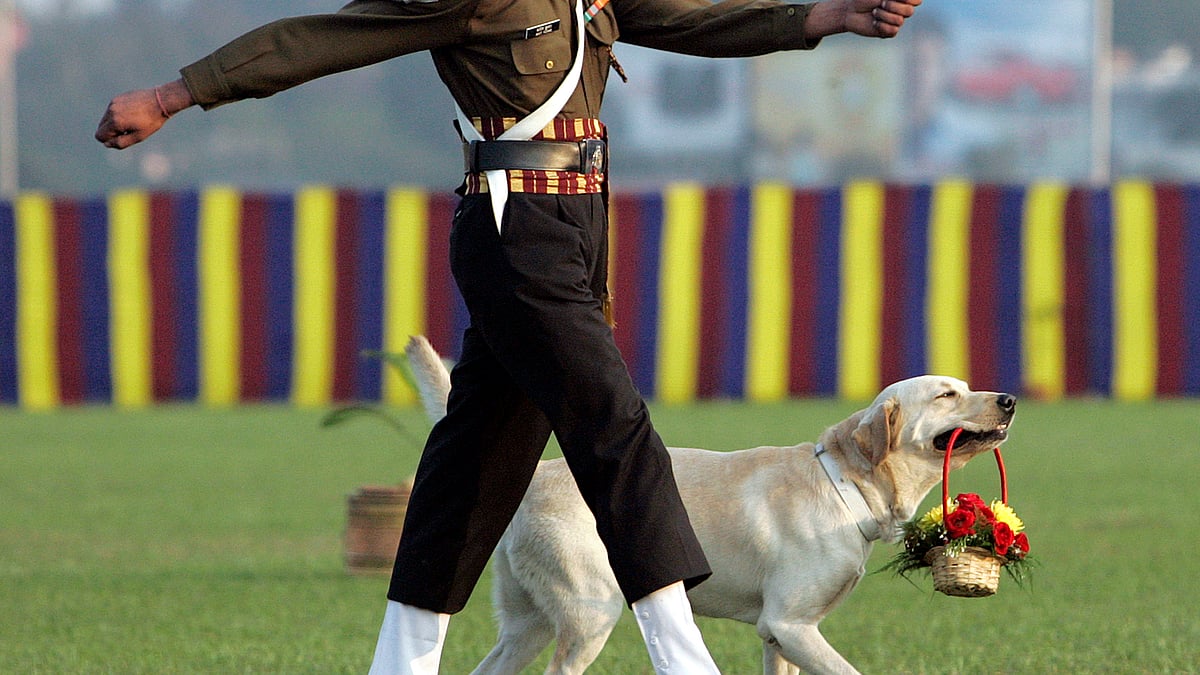 An army dog carries flowers as a soldier marches in Kolkata. (Photo: Reuters)