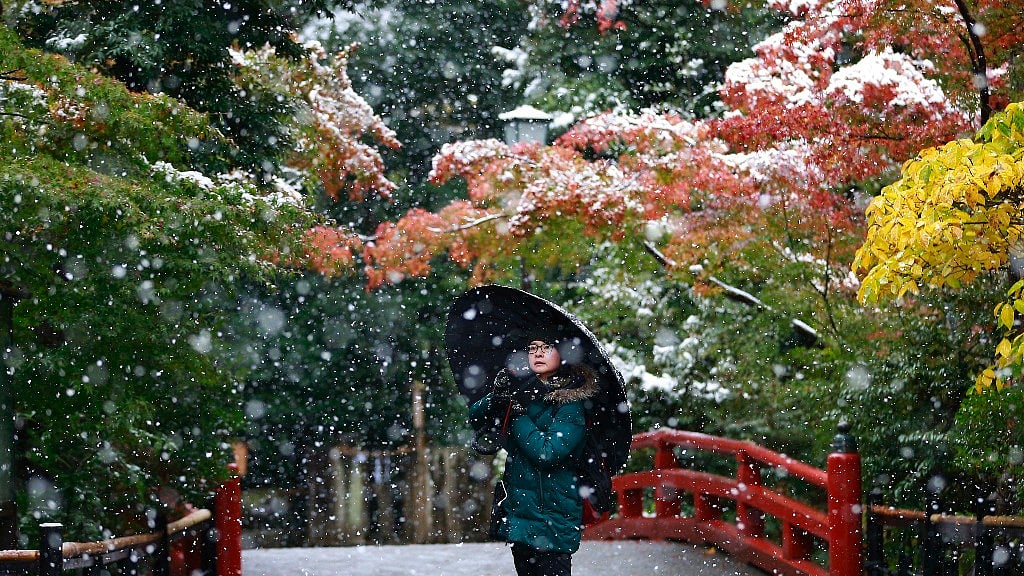 A visitor takes a photo in the snow at the Tsurugaoka Hachimangu Shrine in Kamakura, near Tokyo. (Photo: AP)