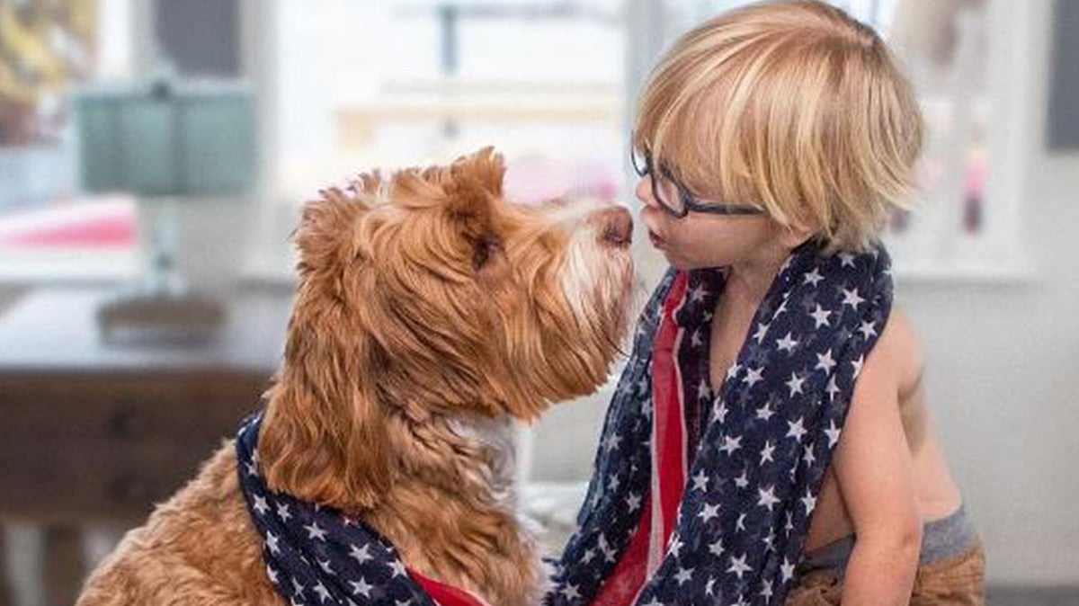 The story of little Buddy and Reagan will now be immortalised in a picture book. (Photo Courtesy: <a href="https://www.instagram.com/reagandoodle/?hl=en">Regandoodle</a>/Instagram) 