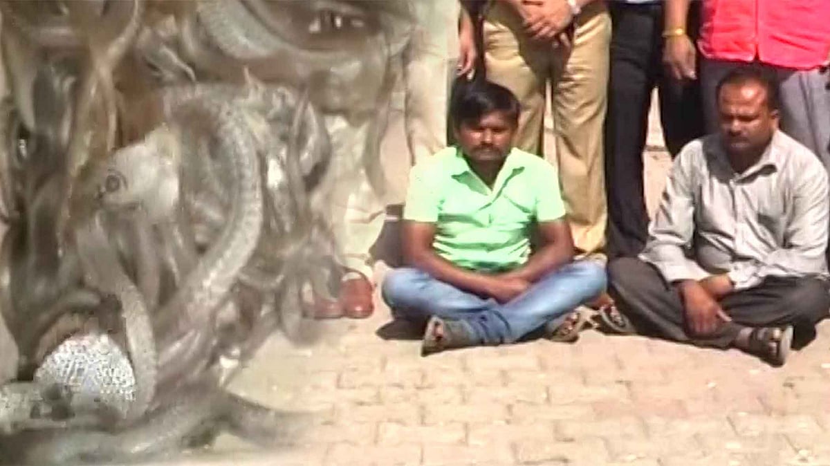 Two men have been arrested for allegedly smuggling snake venom.  (Photo: ANI/Altered by the <b>The Quint</b>)