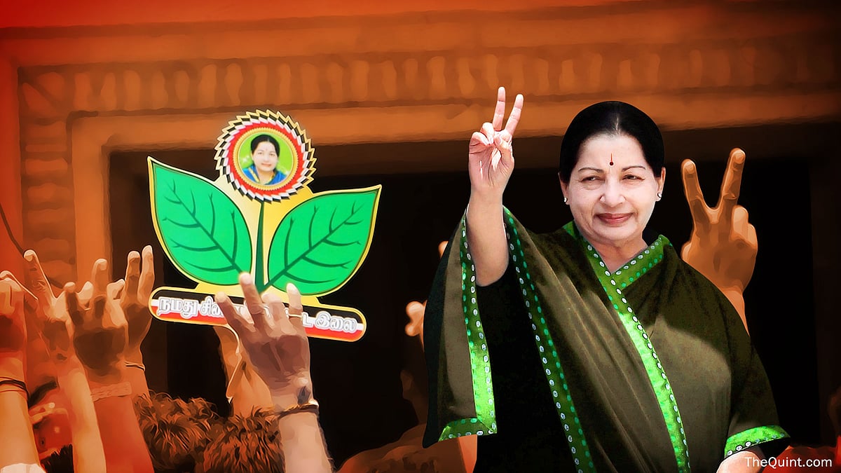 J Jayalalithaa, Chief Minister, Tamil Nadu. (Photo: <b>TheQuint</b>/Liju Joseph)